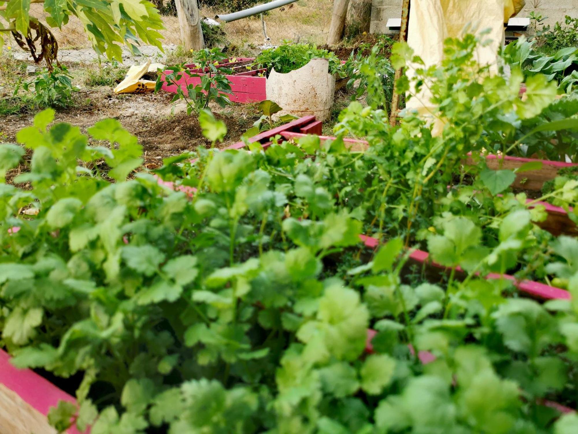 Panoramic Paradise La Ferme Bagian luar foto